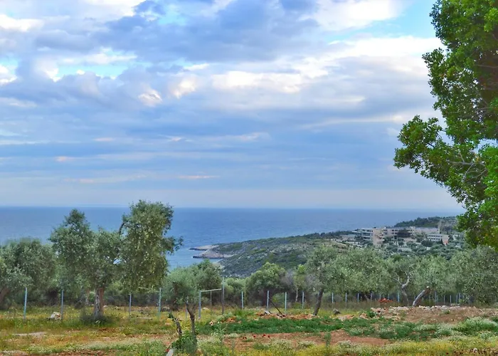 Luminous Sky Appartments *