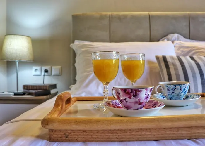 公寓 Luminous Sky Appartments 阿斯特里斯