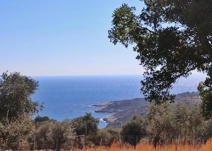 Luminous Sky Appartments 公寓 阿斯特里斯